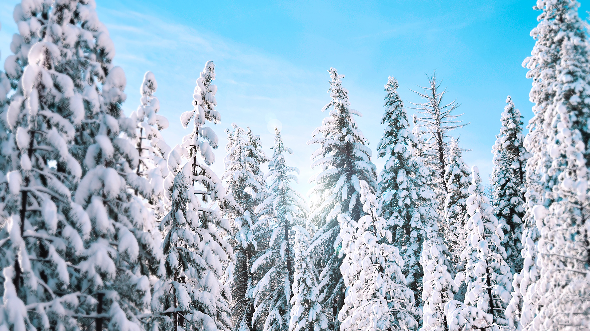 san vigilio di marebbe skipass